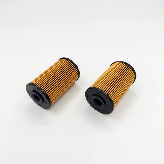 2x Fuel Filter Element Kit For Isuzu NPR NQR NPR - HD 4HK1 5.2L 10 - 25 - GoTrucky