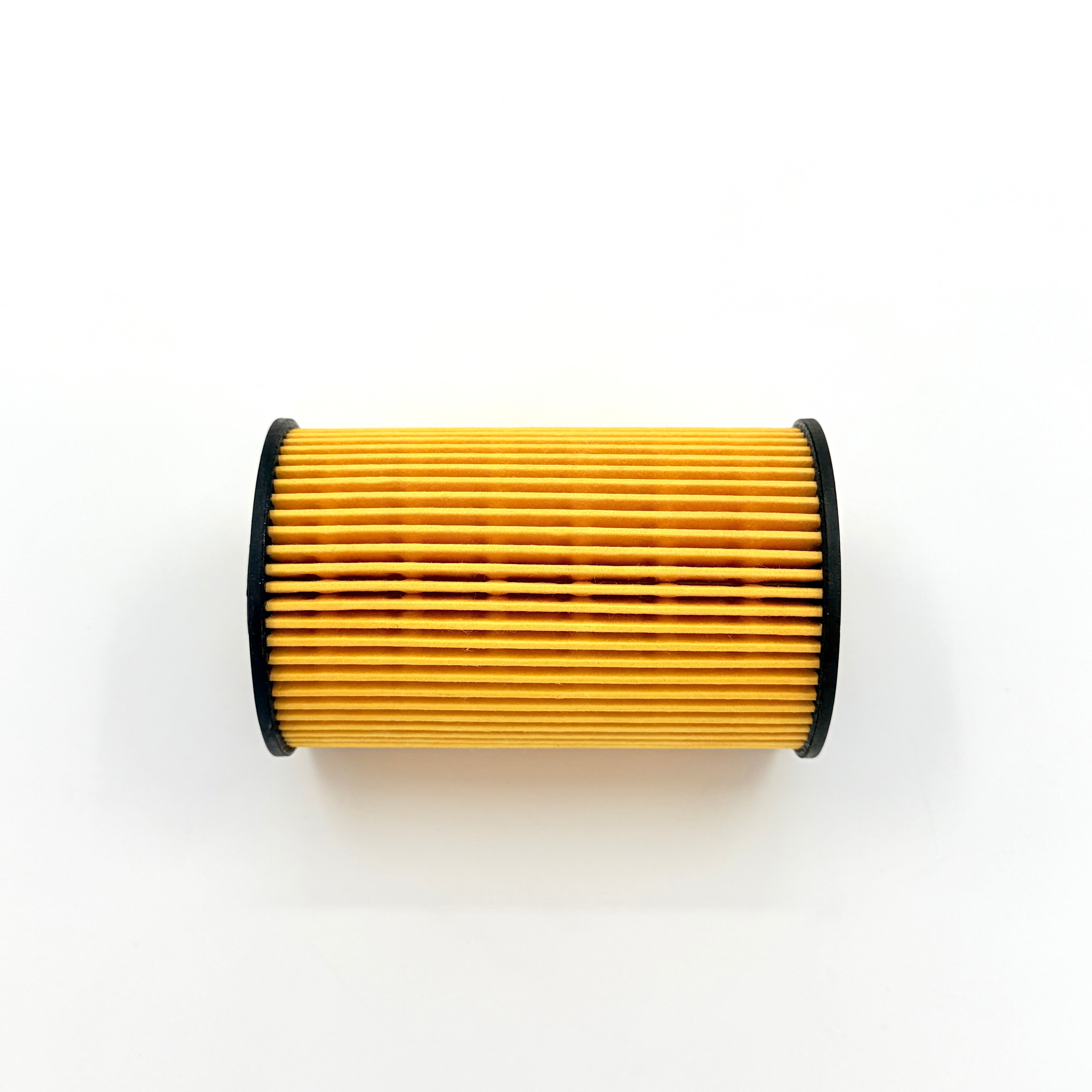 2x Fuel Filter Element Kit For Isuzu NPR NQR NPR - HD 4HK1 5.2L 10 - 25 - GoTrucky