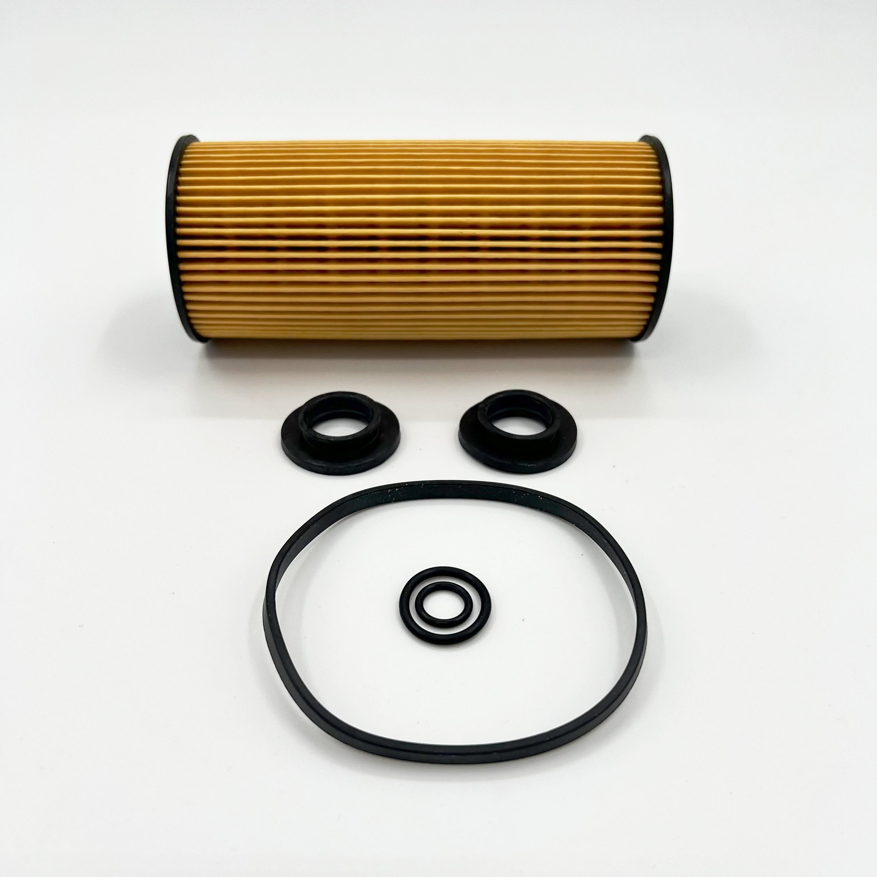 2x Oil Filter for ISUZU NPR Eco-Max Reach 4JJ1 3,0L 11-18